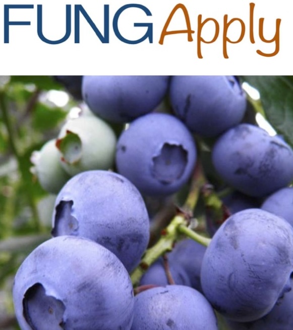 FUNG-Apply ECO - PB-102